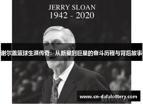 谢尔盖篮球生涯传奇：从新星到巨星的奋斗历程与背后故事