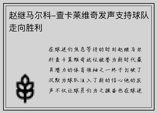 赵继马尔科-查卡莱维奇发声支持球队走向胜利